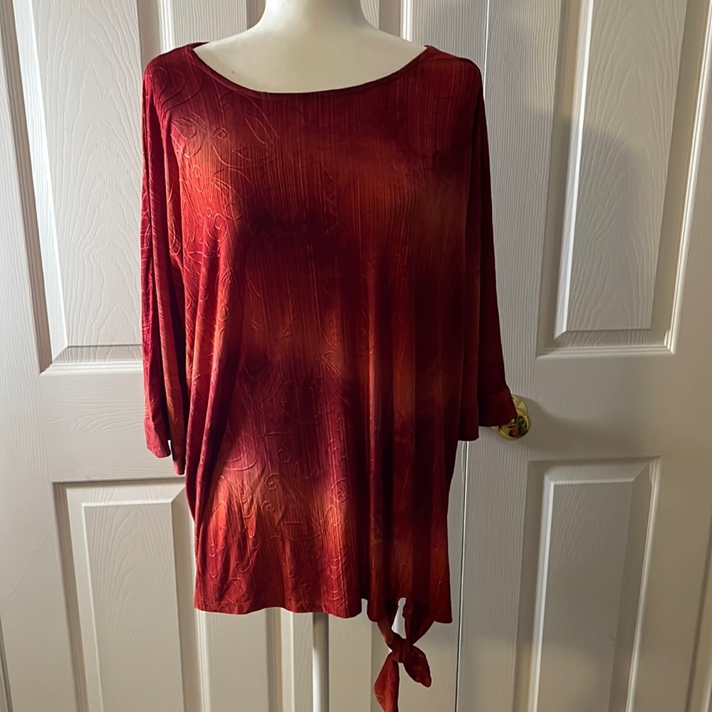 Stretchy Blouse - image 1